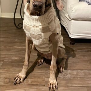 Barefoot Dreams Dog Sweater